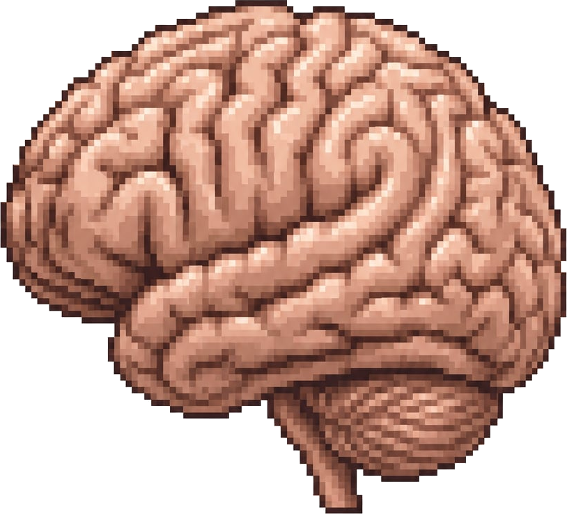 Your brand brain